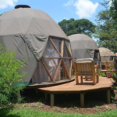 Jinja Backpackers Hostel Ngoại thất bức ảnh