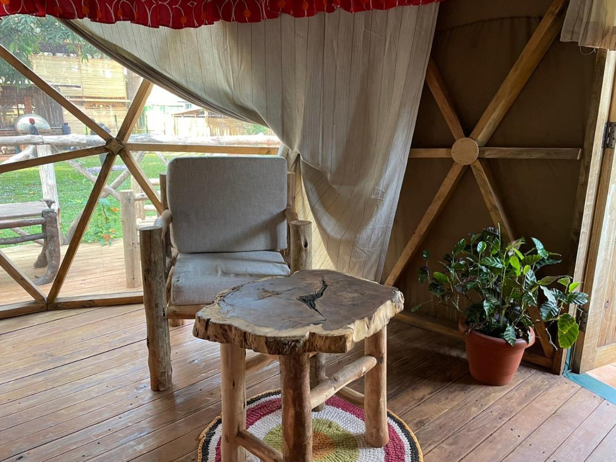 Jinja Backpackers Hostel Ngoại thất bức ảnh