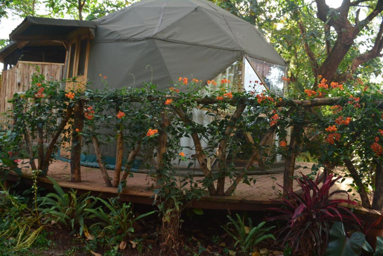 Jinja Backpackers Hostel Ngoại thất bức ảnh